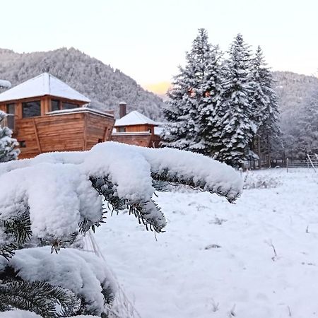 Escale Cab'Ane Hotell Mittlach Exteriör bild